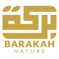 logo-barakah-nature-hq